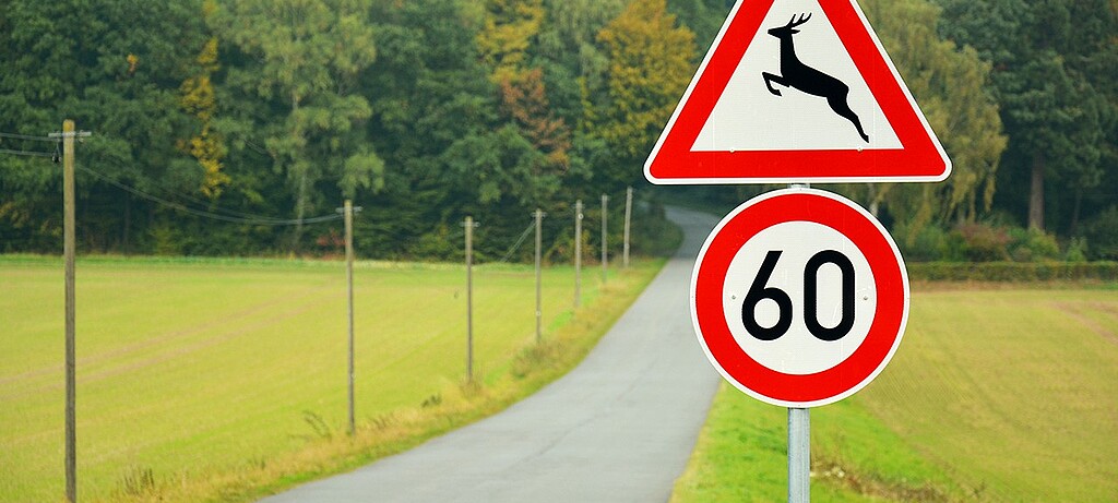 Wildwechsel findet vorwiegend im Herbst und im Frühjahr statt