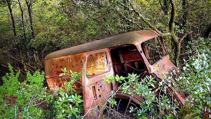 Im Wald abgestelltes Autowrack