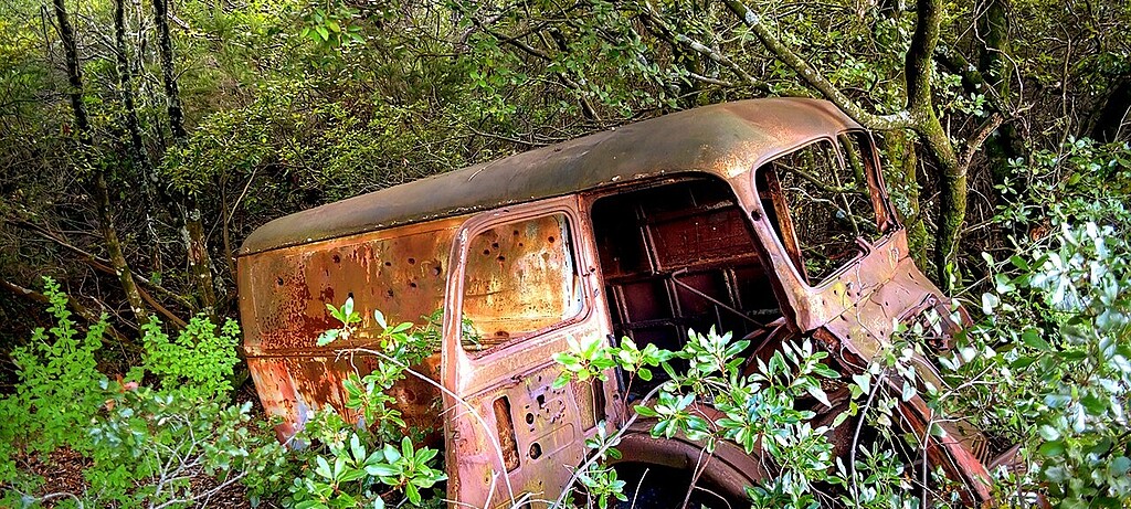 Im Wald abgestelltes Autowrack