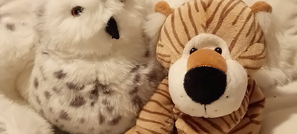 Der schüchterne Tiger Til und seine Freundin, die Eule, führen als Hauptfiguren durch das Programm