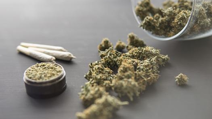 Keine gute Idee: Die Legalisierung von Cannabis