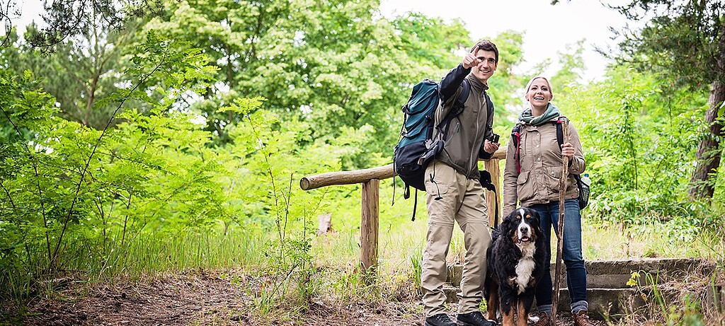 2020_0100_01 Wer im Wald unterwegs ist, sollte einige Regeln beachte