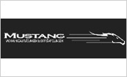 mustang.jpg